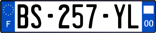 BS-257-YL