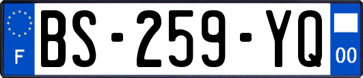 BS-259-YQ
