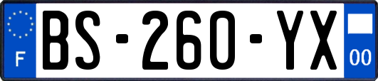 BS-260-YX