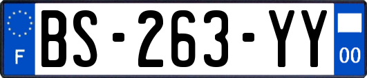 BS-263-YY
