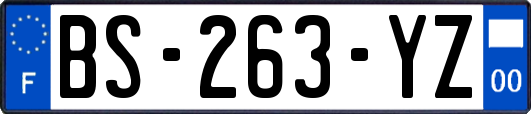 BS-263-YZ