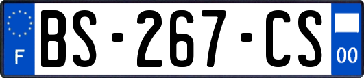 BS-267-CS