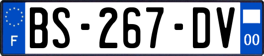 BS-267-DV