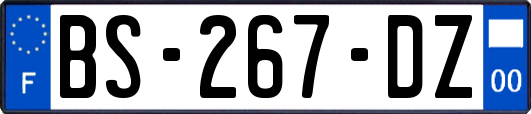 BS-267-DZ