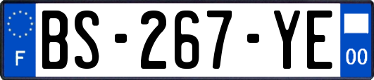BS-267-YE