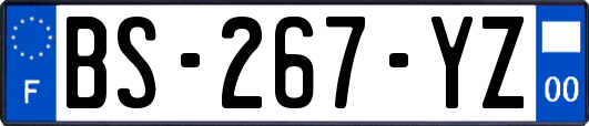 BS-267-YZ