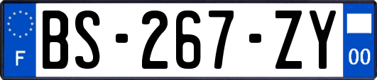 BS-267-ZY