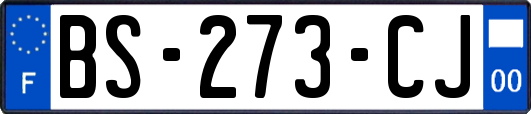 BS-273-CJ