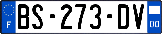 BS-273-DV