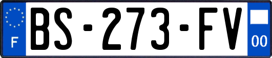 BS-273-FV