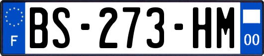 BS-273-HM