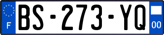BS-273-YQ