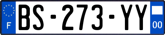 BS-273-YY