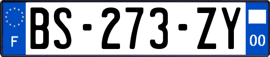 BS-273-ZY