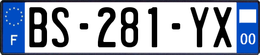 BS-281-YX