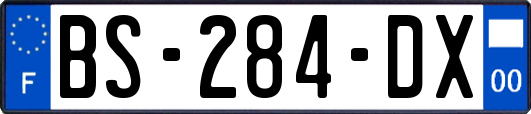 BS-284-DX