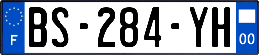 BS-284-YH