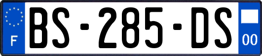 BS-285-DS