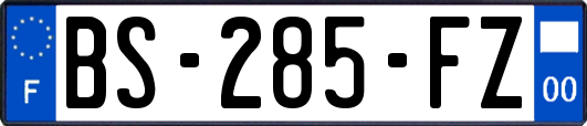 BS-285-FZ