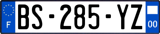 BS-285-YZ
