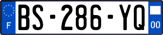 BS-286-YQ