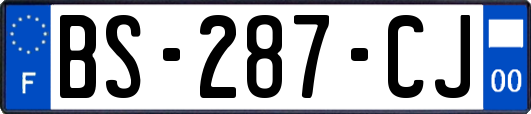 BS-287-CJ