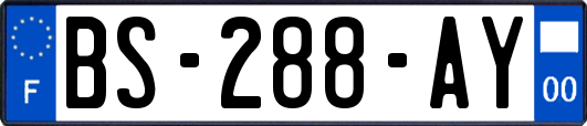 BS-288-AY