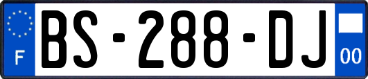 BS-288-DJ