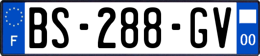 BS-288-GV