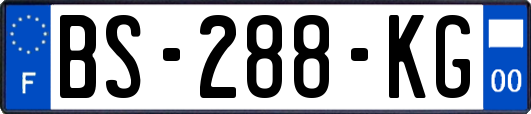 BS-288-KG