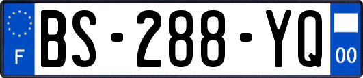 BS-288-YQ