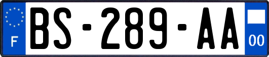 BS-289-AA