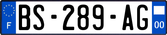 BS-289-AG