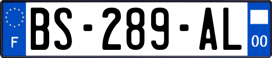 BS-289-AL