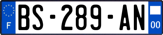 BS-289-AN