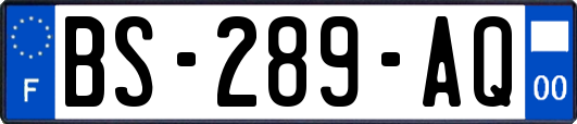 BS-289-AQ