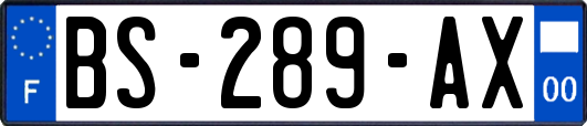 BS-289-AX