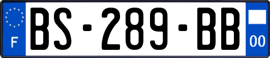 BS-289-BB