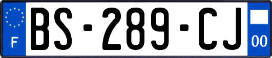 BS-289-CJ