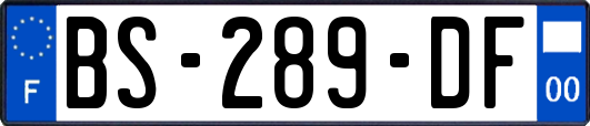 BS-289-DF