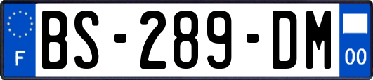 BS-289-DM