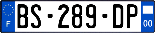 BS-289-DP