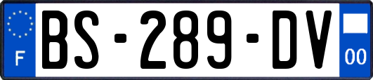 BS-289-DV