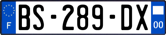 BS-289-DX