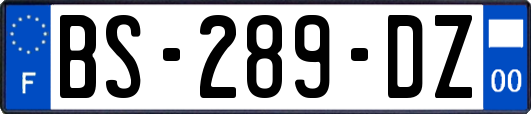 BS-289-DZ