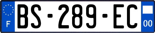 BS-289-EC