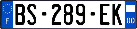 BS-289-EK