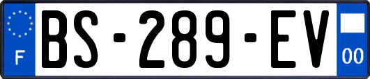 BS-289-EV