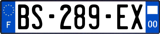 BS-289-EX