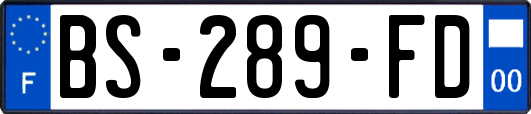 BS-289-FD